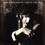 The Waterboys y su impresionante ‘This Is the Sea’
